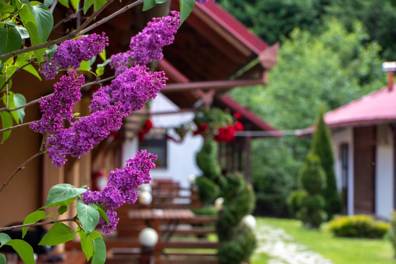 Patakmenti Panzio Spa โครุนด์ ภายนอก รูปภาพ